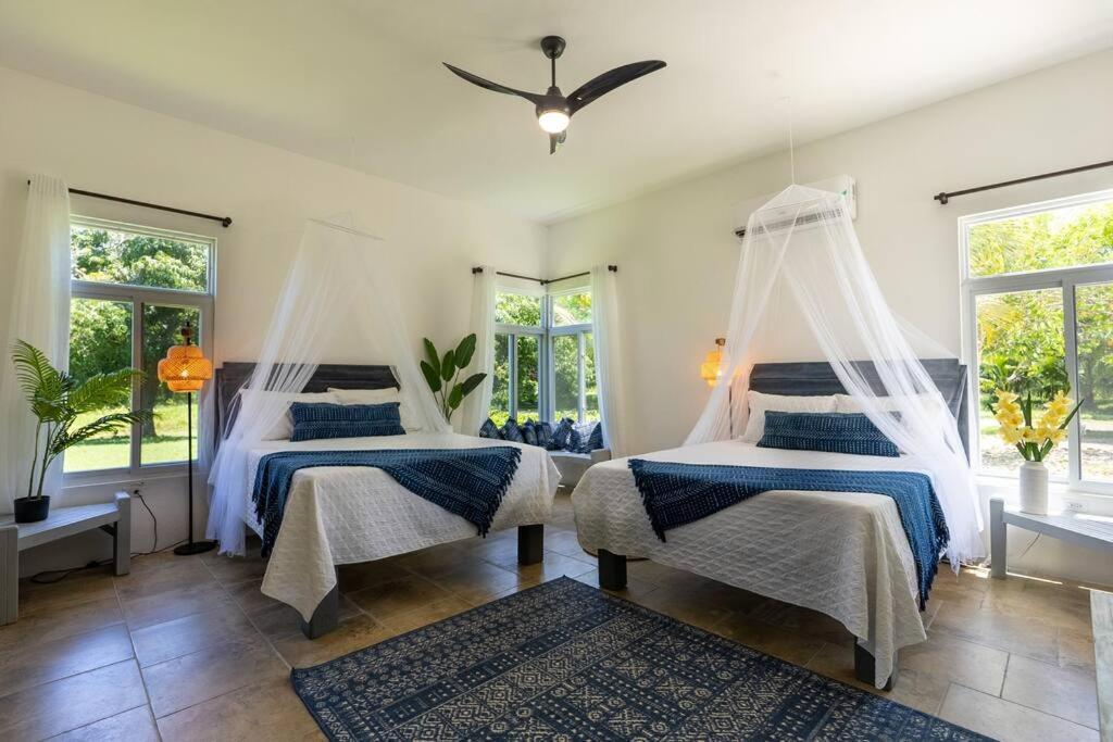 Ivy'S Cove Beach Side Condo - Luxury Villa Whitehouse Exterior foto