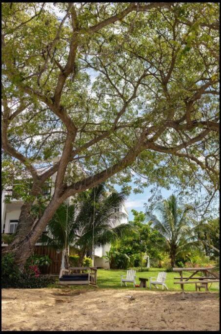 Ivy'S Cove Beach Side Condo - Luxury Villa Whitehouse Exterior foto