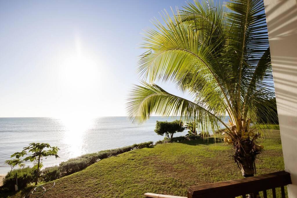Ivy'S Cove Beach Side Condo - Luxury Villa Whitehouse Exterior foto
